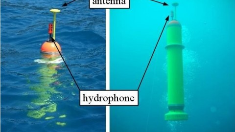 What is A Hydrophone and How It Work?