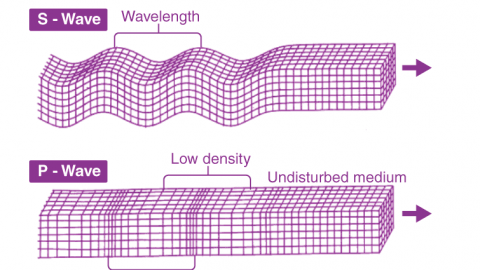 What is P Wave?