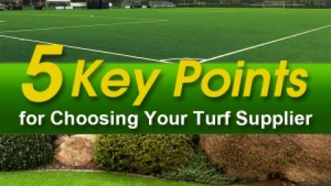 5 Key Points for Choosing Your Turf Supplier