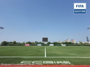 Campo de FIFA Quality Pro en el Centro Deportivo del Condado de Dingyuan, China