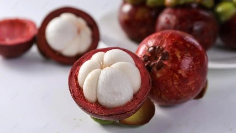 The application prospect of mangosteen extract is broad