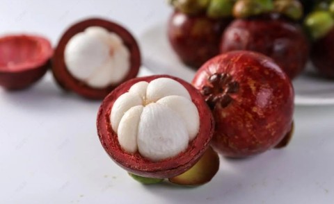 The application prospect of mangosteen extract is broad