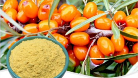 Market prospect and application of fruit and vegetable powder