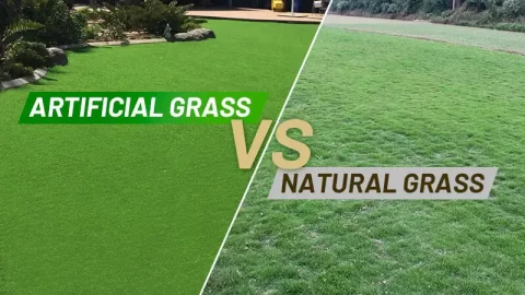WHICH GRASS SHOULD YOU CHOOSE FOR YOUR LAWN? ARTIFICIAL OR NATURAL