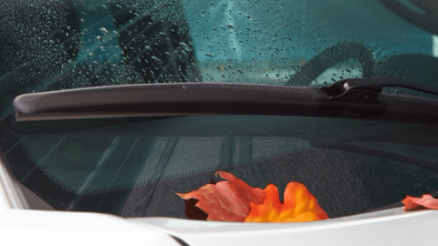 Choosing the Best Hybrid Wiper Blades for Your Vehicle