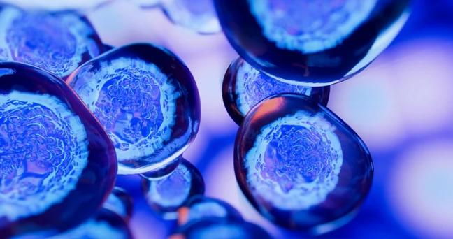 Pharmaceutical-Manufacturing